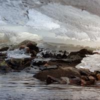 031124-DevilTrackRiver-063