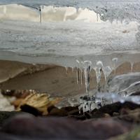 031124-DevilTrackRiver-066