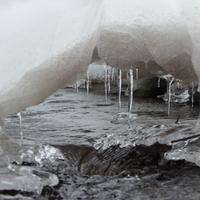 031124-DevilTrackRiver-120