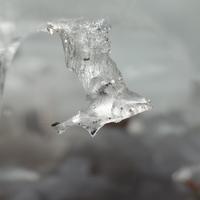 031124-DevilTrackRiver-301