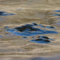 031625-DevilTrackRiver-032