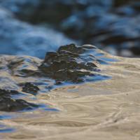 031625-DevilTrackRiver-042