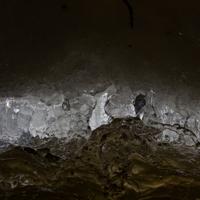 031625-DevilTrackRiver-086