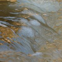031625-DevilTrackRiver-270