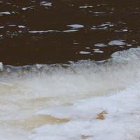 031625-DevilTrackRiver-288