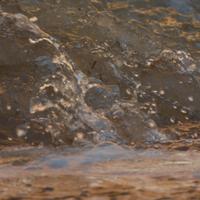 031625-DevilTrackRiver-338