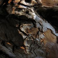 031812-JudgeMagney-CascadeRiverSP-031