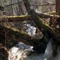 031812-JudgeMagney-CascadeRiverSP-086