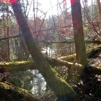 031812-JudgeMagney-CascadeRiverSP-087