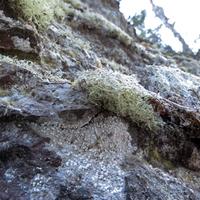 031812-JudgeMagney-CascadeRiverSP-113