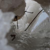 031819-DevilTrackRiver-116