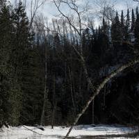 031819-DevilTrackRiver-155
