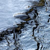 032122-CentennialPark-086