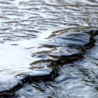 032122-CentennialPark-101