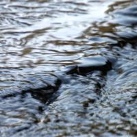 032122-CentennialPark-106