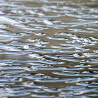 032122-CentennialPark-109