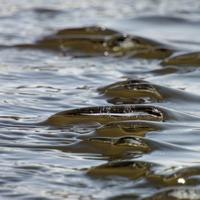 032122-CentennialPark-166