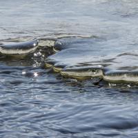 032122-CentennialPark-181