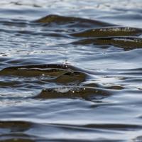032122-CentennialPark-184