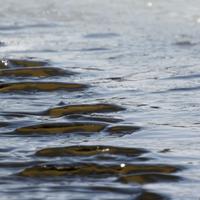 032122-CentennialPark-187