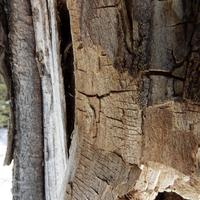 032122-CentennialPark-194