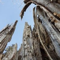 032122-CentennialPark-201