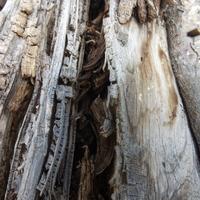 032122-CentennialPark-203