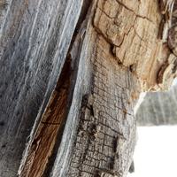 032122-CentennialPark-207