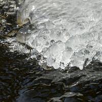 032122-CentennialPark-221