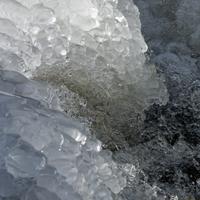 032122-CentennialPark-231