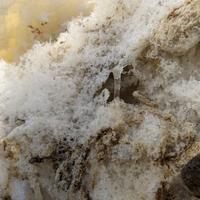 032314-TemperanceRiver-130
