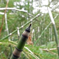 040212-centennialpark-038