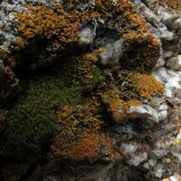 040212-centennialpark-097