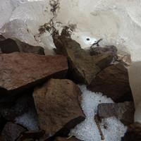 040322-KadunceRiver-064