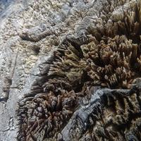 040322-KadunceRiver-161
