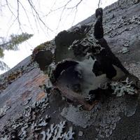 040422-CascadeRiver-DerondaBay-096