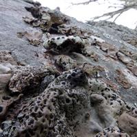 040422-CascadeRiver-DerondaBay-097