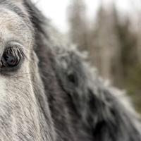 040713-centennialpark-096