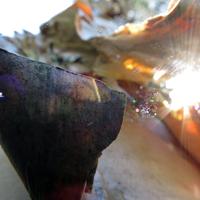 041212-centennialpark-013