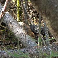 050311-centennialpark-015
