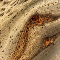 050515-centennialpark-060