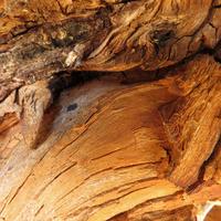 050515-centennialpark-075