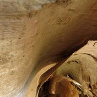 050515-centennialpark-087