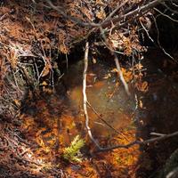 050613-centennialpark-017