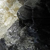 051014-centennialpark-103