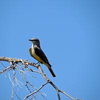 0512-052612-ChinoValley-0150