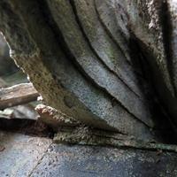 060614-centennialpark-017