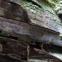 060614-centennialpark-030