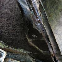 060614-centennialpark-033
