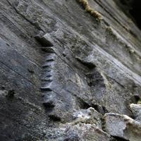 060614-centennialpark-046
